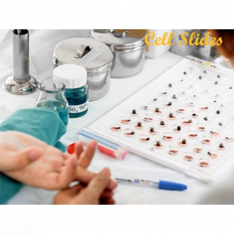 Cell Slides